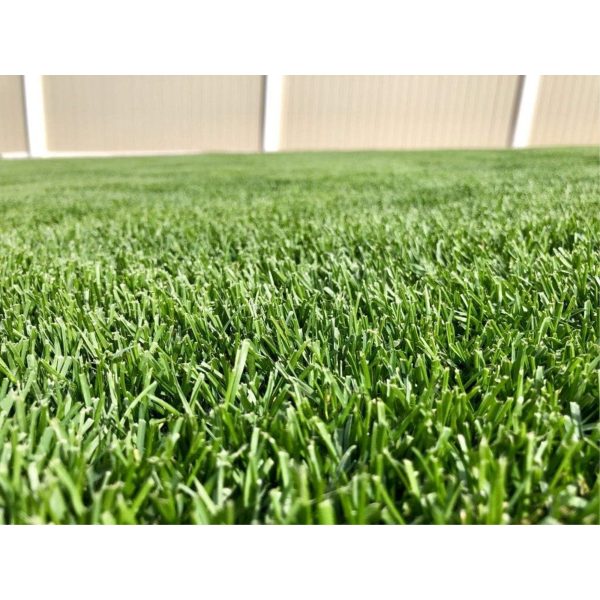 Barenbrug Turf Blue Healthy Grass Technology Lawn Seed Blend with Yellow Jacket Seed Coating, Heavy-Traffic HGT Grass Seed Mix for All Climates, 10lb - Image 5