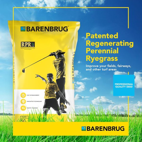 Barenbrug Turf Star RPR Grass Seed with Yellow Jacket Coating, 25lb - Image 2