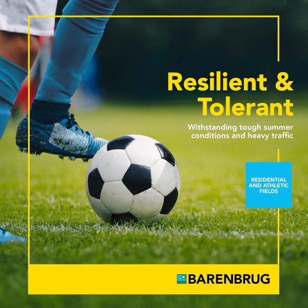 Barenbrug Turf Star RPR Grass Seed with Yellow Jacket Coating, 25lb - Image 3