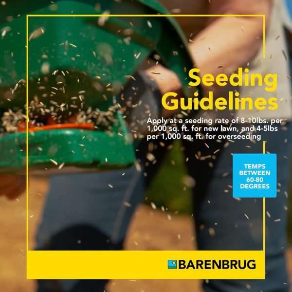 Barenbrug Turf Star RPR Grass Seed with Yellow Jacket Coating, 25lb - Image 4