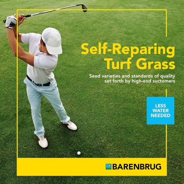 Barenbrug Turf Star RPR Grass Seed with Yellow Jacket Coating, 25lb - Image 5